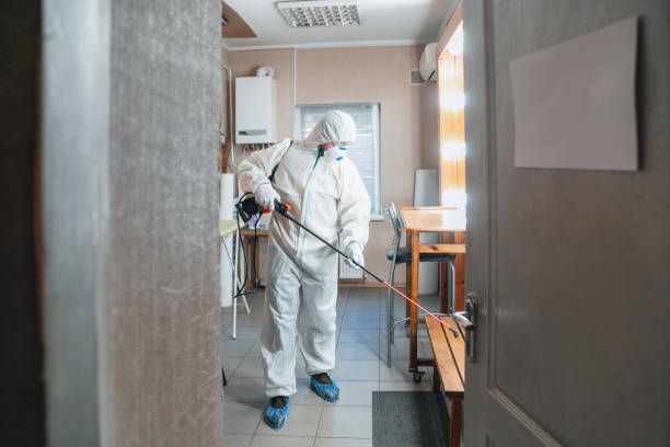 Best Black Mold Removal  in Monaca, PA